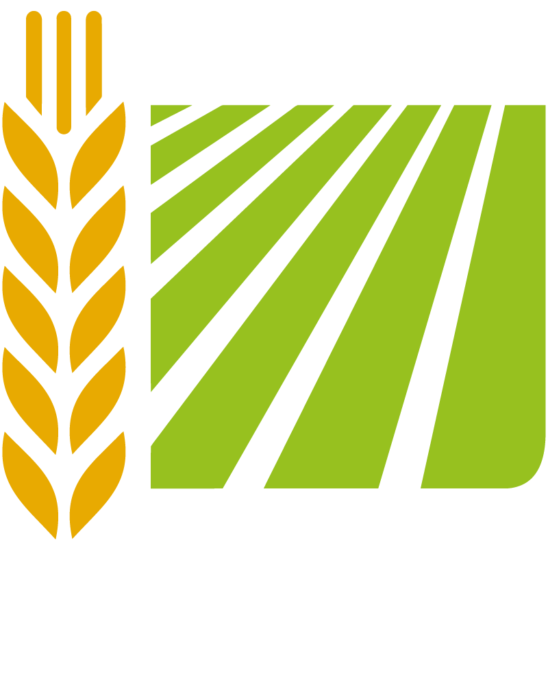 לוגו