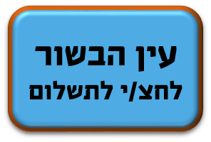 עין הבשור